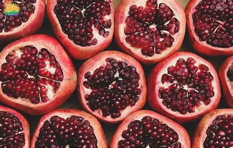 تصویر 5 از قیمت خرید انار رباب با فروش عمده